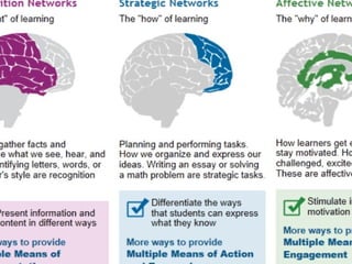 Three networks of the brain:
Recognition Networks The “what” of
learning
Strategic Networks The “how” of learning
Affective Networks The “why” of learning•
 