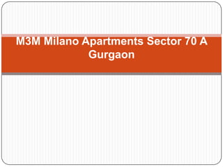 M3M Milano Apartments Sector 70 A
            Gurgaon
 