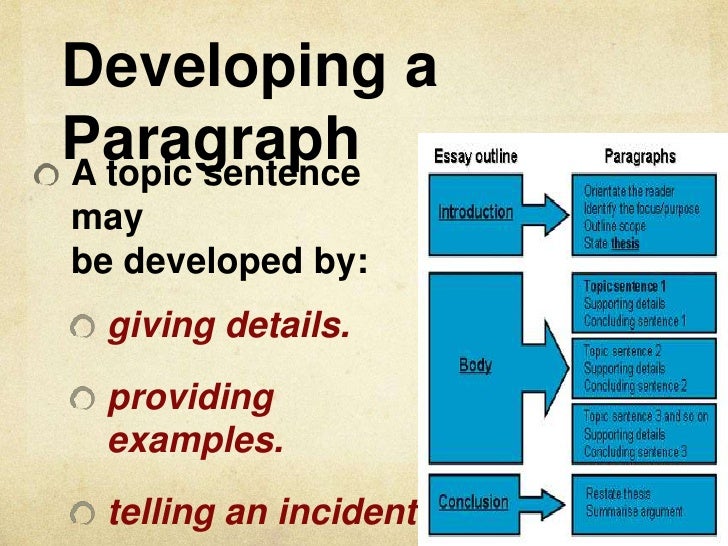 paragraph organization