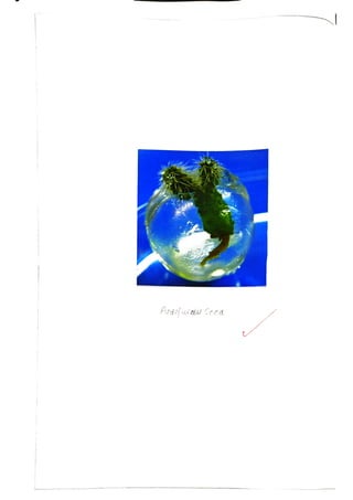 M3-Plant Tissue Culture