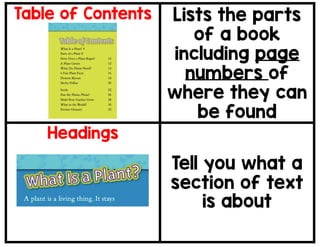 Text Features Anchor Chart and information | PDF