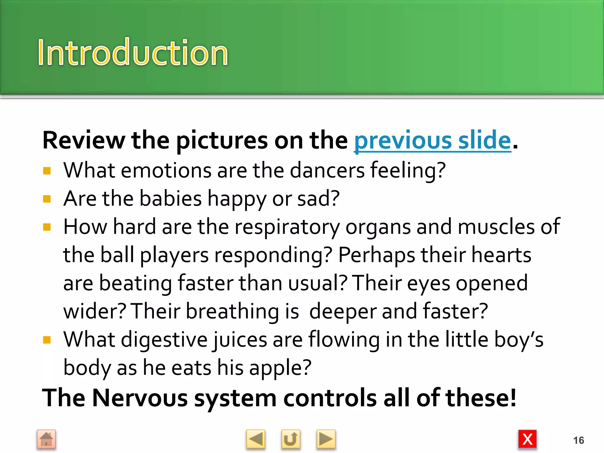 X
Review the pictures on the previous slide.
 What emotions are the dancers feeling?
 Are the babies happy or sad?
 How hard are the respiratory organs and muscles of
the ball players responding? Perhaps their hearts
are beating faster than usual?Their eyes opened
wider?Their breathing is deeper and faster?
 What digestive juices are flowing in the little boy’s
body as he eats his apple?
The Nervous system controls all of these!
16
 