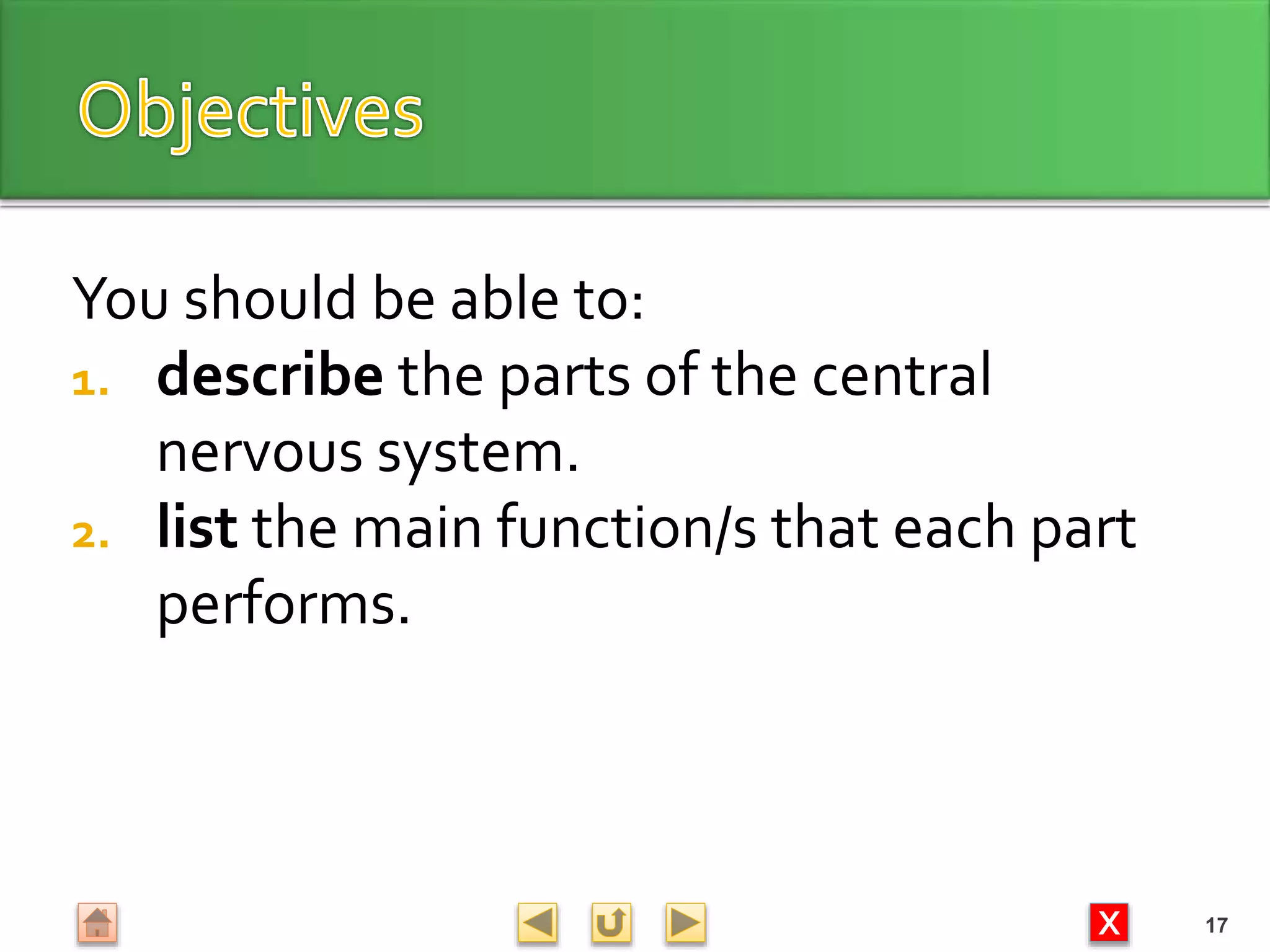 X
You should be able to:
1. describe the parts of the central
nervous system.
2. list the main function/s that each part
performs.
17
 