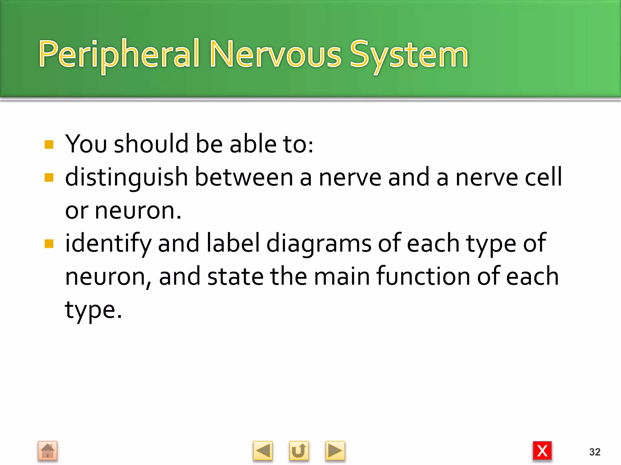 X
 You should be able to:
 distinguish between a nerve and a nerve cell
or neuron.
 identify and label diagrams of each type of
neuron, and state the main function of each
type.
32
 