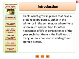 https://image.slidesharecdn.com/m3unit8lesson1foodstorageinfloweringplants-150519160319-lva1-app6891/85/biology-m3-food-storage-in-flowering-plants-2-320.jpg?cb=1666614692