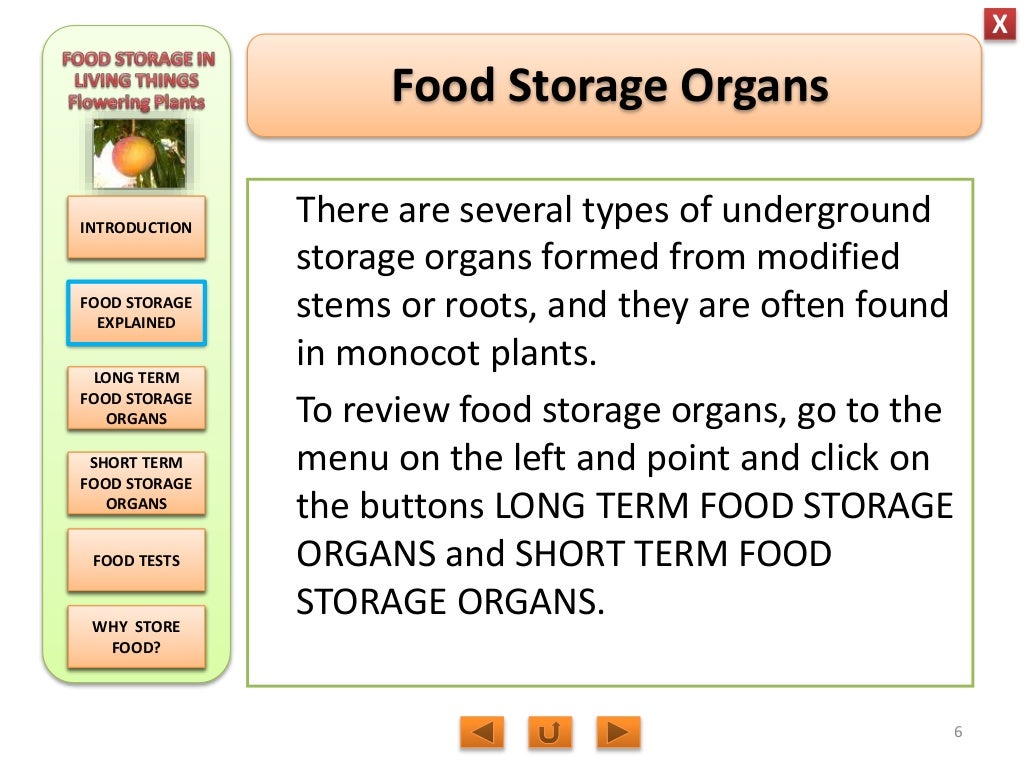 Biology M3 Food Storage in flowering plants