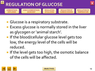X
OBJECTIVES
 Glucose is a respiratory substrate.
 Excess glucose is normally stored in the liver
as glycogen or ‘animal starch’.
 If the blood/cellular glucose level gets too
low, the energy level of the cells will be
reduced.
 If the level gets too high, the osmotic balance
of the cells will be affected.
10
 
