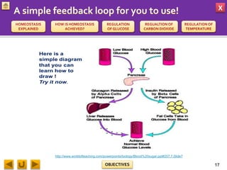 X
OBJECTIVES
Here is a
simple diagram
that you can
learn how to
draw !
Try it now.
17
http://www.worldofteaching.com/powerpoints/biology/Blood%20sugar.ppt#257,7,Slide7
 