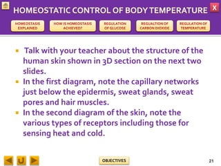 X
OBJECTIVES
 Talk with your teacher about the structure of the
human skin shown in 3D section on the next two
slides.
 In the first diagram, note the capillary networks
just below the epidermis, sweat glands, sweat
pores and hair muscles.
 In the second diagram of the skin, note the
various types of receptors including those for
sensing heat and cold.
21
 