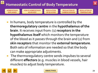 X
OBJECTIVES
 In humans, body temperature is controlled by the
thermoregulatory centre in the hypothalamus of the
brain. It receives input from: (1) receptors in the
hypothalamus itself which monitors the temperature
of the blood as it passes through the brain and (2) from
skin receptors that monitor the external temperature.
Both sets of information are needed so that the body
can make appropriate adjustments.
 The thermoregulatory centre sends impulses to several
different effectors (e.g. muscles in blood vessels, hair
muscles) to adjust body temperature.
24
 