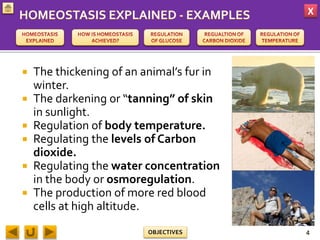 X
OBJECTIVES
 The thickening of an animal’s fur in
winter.
 The darkening or “tanning” of skin
in sunlight.
 Regulation of body temperature.
 Regulating the levels of Carbon
dioxide.
 Regulating the water concentration
in the body or osmoregulation.
 The production of more red blood
cells at high altitude.
4
 