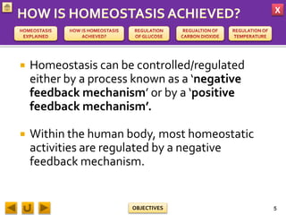 X
OBJECTIVES
 Homeostasis can be controlled/regulated
either by a process known as a ‘negative
feedback mechanism’ or by a ‘positive
feedback mechanism’.
 Within the human body, most homeostatic
activities are regulated by a negative
feedback mechanism.
5
 