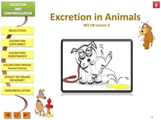 X
Excretion in Animals
M3 U8 Lesson 4
1
 