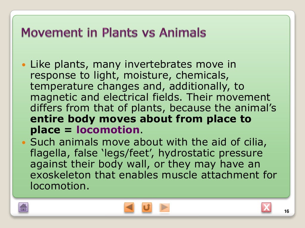 Biology M3 Movement in plants and animals