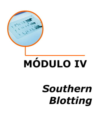 MÓDULO IV
Southern
Blotting

 