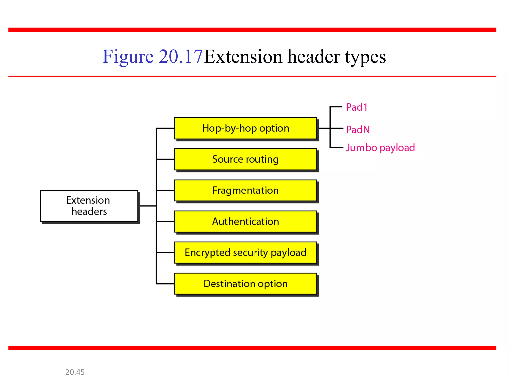 Figure 20.17Extension header types
20.45
 
