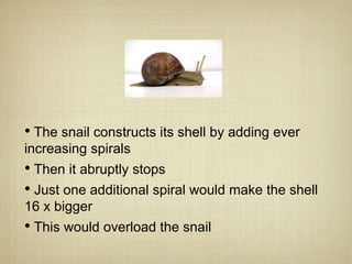 • The snail constructs its shell by adding ever
increasing spirals
• Then it abruptly stops
• Just one additional spiral would make the shell
16 x bigger
• This would overload the snail
 