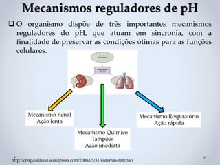 Mecanismo Respiratório
Ação rápida
Mecanismo Químico
Tampões
Ação imediata
❑ O organismo dispõe de três importantes mecanismos
reguladores do pH, que atuam em sincronia, com a
finalidade de preservar as condições ótimas para as funções
celulares.
http://crispassinato.wordpress.com/2008/05/31/sistemas-tampao
Mecanismos reguladores de pH
Mecanismo Renal
Ação lenta
 
