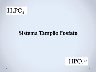 Sistema Tampão Fosfato
H2PO4
-
HPO4
2-
 
