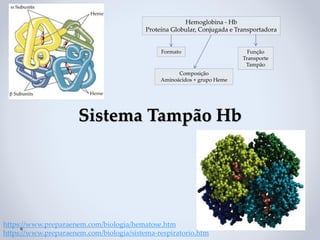 Sistema Tampão Hb
https://www.preparaenem.com/biologia/hematose.htm
https://www.preparaenem.com/biologia/sistema-respiratorio.htm
Hemoglobina - Hb
Proteína Globular, Conjugada e Transportadora
Formato
Composição
Aminoácidos + grupo Heme
Função
Transporte
Tampão
 