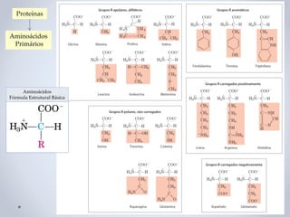 Aminoácidos
Fórmula Estrutural Básica
Aminoácidos
Primários
Proteínas
 
