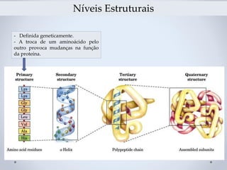 Níveis Estruturais
- Definida geneticamente.
- A troca de um aminoácido pelo
outro provoca mudanças na função
da proteína.
 