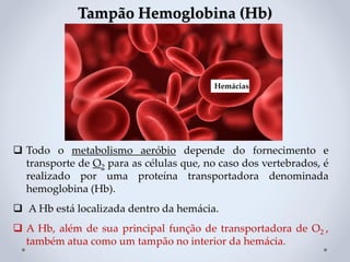 Tampão Hemoglobina (Hb)
❑ Todo o metabolismo aeróbio depende do fornecimento e
transporte de O2 para as células que, no caso dos vertebrados, é
realizado por uma proteína transportadora denominada
hemoglobina (Hb).
❑ A Hb está localizada dentro da hemácia.
❑ A Hb, além de sua principal função de transportadora de O2 ,
também atua como um tampão no interior da hemácia.
Hemácias
Hemácias
 