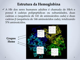 Estrutura da Hemoglobina
✓ A Hb dos seres humanos adultos é chamada de HbA e
possui 4 cadeias polipeptídicas ou subunidades, duas
cadeias α (sequência de 141 de aminoácidos cada) e duas
cadeias β (sequência de 146 aminoácidos cada), totalizando
574 aminoácidos.
Grupos
Heme
 