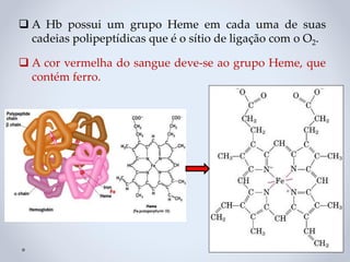 ❑ A Hb possui um grupo Heme em cada uma de suas
cadeias polipeptídicas que é o sítio de ligação com o O2.
❑ A cor vermelha do sangue deve-se ao grupo Heme, que
contém ferro.
 