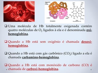 ❑ Uma molécula de Hb totalmente oxigenada contém
quatro moléculas de O2 ligados à ela e é denominada oxi-
hemoglobina.
❑ Quando a Hb está sem oxigênio é chamada desoxi-
hemoglobina.
❑ Quando a Hb está com gás carbônico (CO2) ligado a ela é
chamada carbamino-hemoglobina.
❑ Quando a Hb está com monóxido de carbono (CO) é
chamada de carboxi-hemoglobina.
 