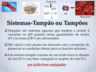 ❑ Tampões são sistemas aquosos que tendem a resistir à
variações no pH quando certas quantidades de ácidos
(H+) ou bases (OH-) são adicionadas.
❑ São vários e eles atuam em sincronia com o propósito de
preservar as condições ótimas para as funções celulares.
❑ Um sistema tampão consiste de um ácido fraco (o doador
de íons H+) e sua base conjugada (o aceptor de íons H+).
par ácido-base conjugados
Sistemas-Tampão ou Tampões
Hb
Hemácias
Proteínas
Aas.
 