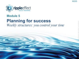 Planning for success Weekly structures: you control your time ,[object Object],Copyright 2010 | Ripple Effect Systems Ltd  1 M205 