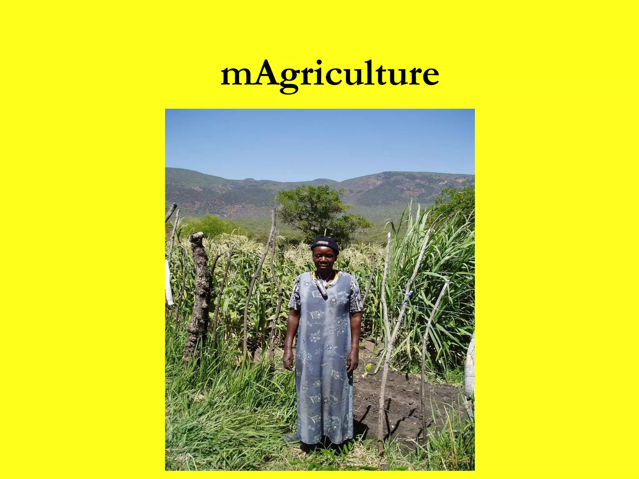 mAgriculture 