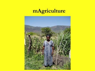 mAgriculture 