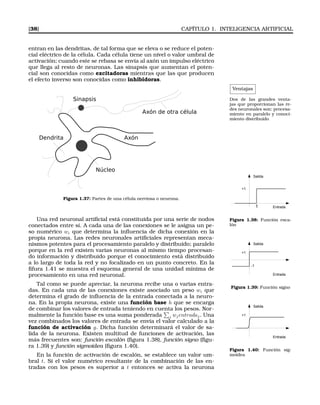[38] CAPÍTULO 1. INTELIGENCIA ARTIFICIAL
entran en las dendritas, de tal forma que se eleva o se reduce el poten-
cial eléctrico de la célula. Cada célula tiene un nivel o valor umbral de
activación; cuando este se rebasa se envía al axón un impulso eléctrico
que llega al resto de neuronas. Las sinapsis que aumentan el poten-
cial son conocidas como excitadoras mientras que las que producen
el efecto inverso son conocidas como inhibidoras.
Ventajas
Dos de las grandes venta-
jas que proporcionan las re-
des neuronales son: procesa-
miento en paralelo y conoci-
miento distribuido
Axón de otra célula
Núcleo
Dendrita Axón
Sinapsis
Figura 1.37: Partes de una célula nerviosa o neurona.
Salida
Entrada
+1
t
Figura 1.38: Función esca-
lón
Salida
Entrada
+1
-1
Figura 1.39: Función signo
Salida
Entrada
+1
Figura 1.40: Función sig-
moidea
Una red neuronal artiﬁcial está constituida por una serie de nodos
conectados entre sí. A cada una de las conexiones se le asigna un pe-
so numérico wi que determina la inﬂuencia de dicha conexión en la
propia neurona. Las redes neuronales artiﬁciales representan meca-
nismos potentes para el procesamiento paralelo y distribuido; paralelo
porque en la red existen varias neuronas al mismo tiempo procesan-
do información y distribuido porque el conocimiento está distribuido
a lo largo de toda la red y no focalizado en un punto concreto. En la
ﬁfura 1.41 se muestra el esquema general de una unidad mínima de
procesamiento en una red neuronal.
Tal como se puede apreciar, la neurona recibe una o varias entra-
das. En cada una de las conexiones existe asociado un peso wi que
determina el grado de inﬂuencia de la entrada conectada a la neuro-
na. En la propia neurona, existe una función base h que se encarga
de combinar los valores de entrada teniendo en cuenta los pesos. Nor-
malmente la función base es una suma ponderada j wjentradaj. Una
vez combinados los valores de entrada se envía el valor calculado a la
función de activación g. Dicha función determinará el valor de sa-
lida de la neurona. Existen multitud de funciones de activación, las
más frecuentes son: función escalón (ﬁgura 1.38), función signo (ﬁgu-
ra 1.39) y función sigmoidea (ﬁgura 1.40).
En la función de activación de escalón, se establece un valor um-
bral t. Si el valor numérico resultante de la combinación de las en-
tradas con los pesos es superior a t entonces se activa la neurona
 