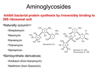 Aminoglycosides
Inhibit bacterial protein synthesis by irreversibly binding to
30S ribosomal unit
•Naturally occurring:
•Streptomycin
•Neomycin
•Kanamycin
•Tobramycin
•Gentamicin
•Semisynthetic derivatives:
•Amikacin (from Kanamycin)
•Netilmicin (from Sisomicin)
 