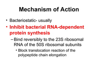 Mechanism of Action
• Bacteriostatic- usually
• Inhibit bacterial RNA-dependent
protein synthesis
–Bind reversibly to the 23S ribosomal
RNA of the 50S ribosomal subunits
• Block translocation reaction of the
polypeptide chain elongation
 