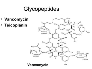 Glycopeptides
• Vancomycin
• Teicoplanin
Vancomycin
 