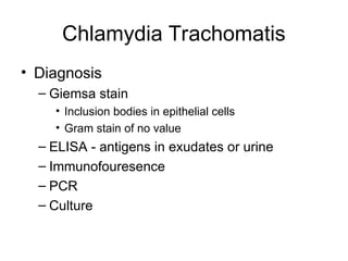 Chlamydia Trachomatis
• Diagnosis
– Giemsa stain
• Inclusion bodies in epithelial cells
• Gram stain of no value
– ELISA - antigens in exudates or urine
– Immunofouresence
– PCR
– Culture
 