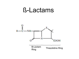 ß-Lactams
Β-Lactam
Ring
Thiazolidine Ring
 