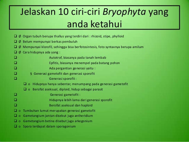 Perbedaan Tumbuhan Tingkat Tinggi Dan Tumbuhan Tingkat