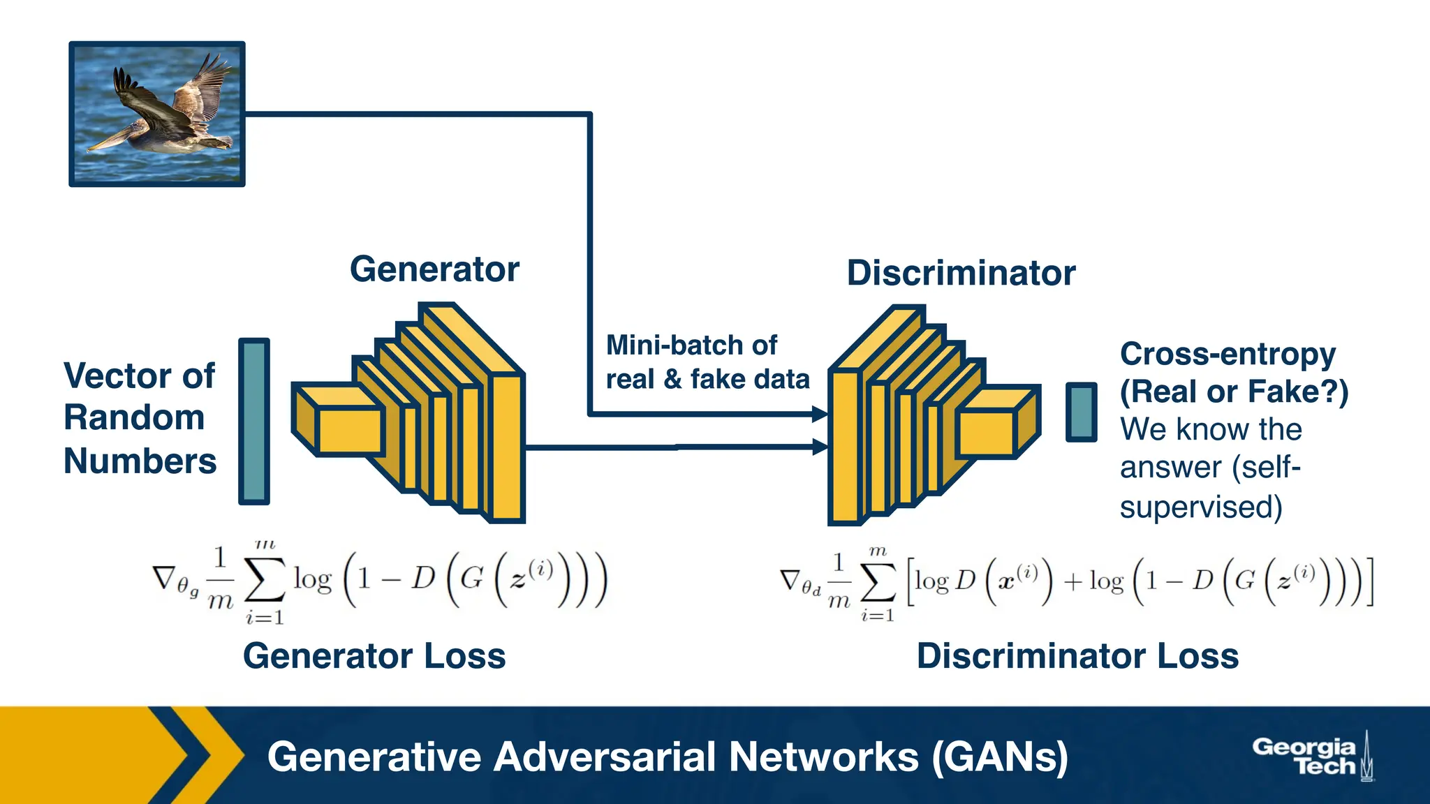 Generative Adversarial Networks (GANs)
Generator Loss Discriminator Loss
Vector of
Random
Numbers
Generator Discriminator
Cross-entropy
(Real or Fake?)
We know the
answer (self-
supervised)
Mini-batch of
real  fake data
 