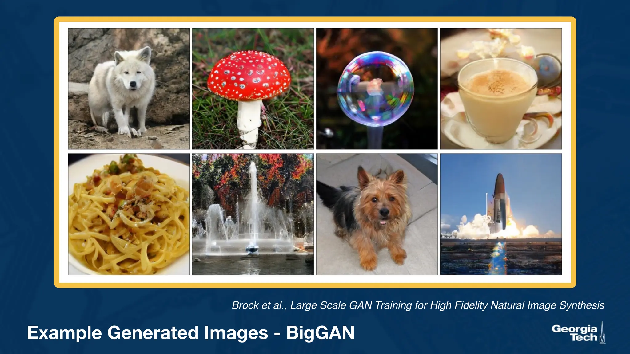 Example Generated Images - BigGAN
Brock et al., Large Scale GAN Training for High Fidelity Natural Image Synthesis
 