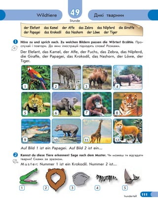 Stunde
111
4949 Дикі твариниWildtiere
hundertelf
 Höre zu und sprich nach. Zu welchen Bildern passen die Wörter? Erzähle. Про-
слухай і повтори. До яких ілюстрацій підходять слова? Розкажи.
Der Elefant, das Kamel, der Affe, der Fuchs, das Zebra, das Nilpferd,
die Giraffe, der Papagei, das Krokodil, das Nashorn, der Löwe, der
Tiger.
1 2 3 4
5 6 7 8
9 10 11 12
Auf Bild 1 ist ein Papagei. Auf Bild 2 ist ein...
Kannst du diese Tiere erkennen? Sage nach dem Muster. Чи можеш ти відгадати
тварин? Скажи за зразком.
M u s t e r: Nummer 1 ist ein Krokodil. Nummer 2 ist...
der Elefant das Kamel der Affe das Zebra das Nilpferd die Giraffe
der Papagei das Krokodil das Nashorn der Löwe der Tiger
Nu e s e
1 2 3 4 5
 
