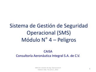 Clasificación: SGC
RO 1-JUN-2012
CAISA
Consultoría Aeronáutica Integral S.A. de C.V.
SMS Sist. Gestión de Seg. Operacional 4
Elaboro: EAQ R1 Junio 1, 2013
1
Sistema de Gestión de Seguridad
Operacional (SMS)
Módulo N° 4 – Peligros
 