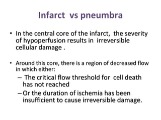 Infarct  vs pneumbra In the central core of the infarct,  the severity of hypoperfusion results in  irreversible cellular damage .  Around this core, there is a region of decreased flow in which either: The critical flow threshold for  cell death has not reached  Or the duration of ischemia has been insufficient to cause irreversible damage.  
