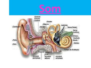 Som
 