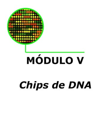 MÓDULO V
Chips de DNA

 