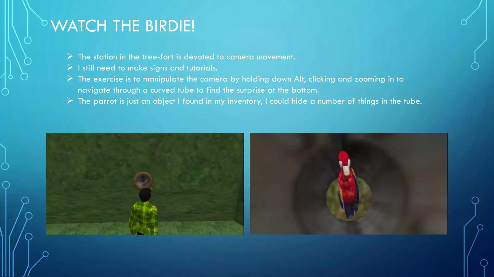 WATCH THE BIRDIE!
 The station in the tree-fort is devoted to camera movement.
 I still need to make signs and tutorials.
 The exercise is to manipulate the camera by holding down Alt, clicking and zooming in to
navigate through a curved tube to find the surprise at the bottom.
 The parrot is just an object I found in my inventory, I could hide a number of things in the tube.
 