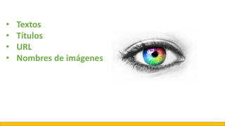 • Textos
• Títulos
• URL
• Nombres de imágenes
 
